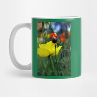 Budding Spendid Poppies Mug